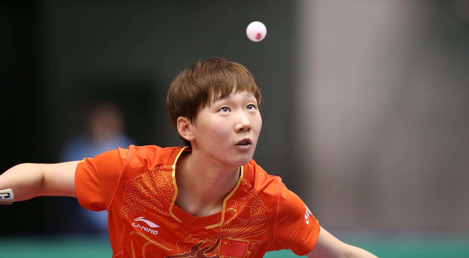 球队本赛季 球队本赛季