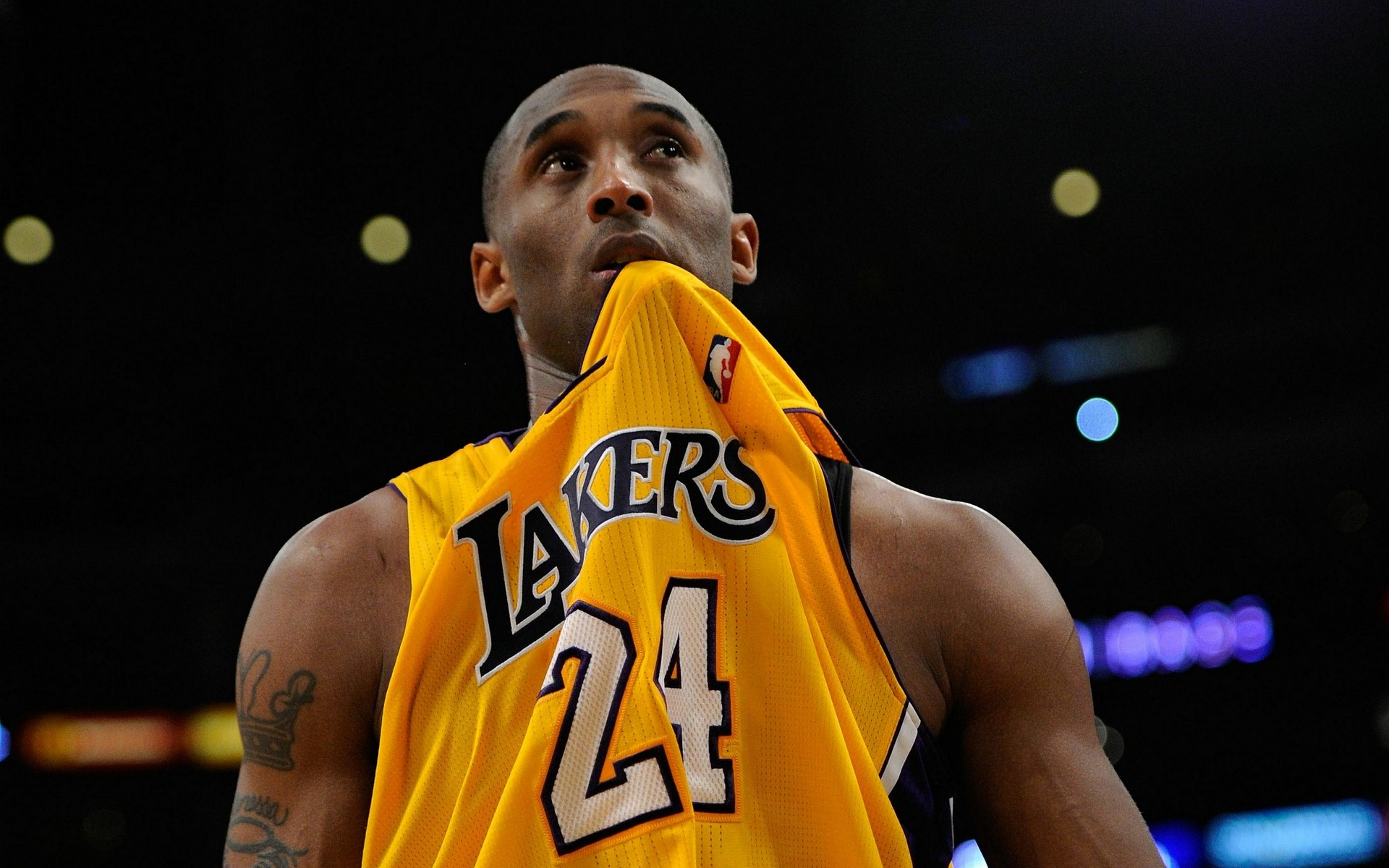 家形象的展 家形象的展