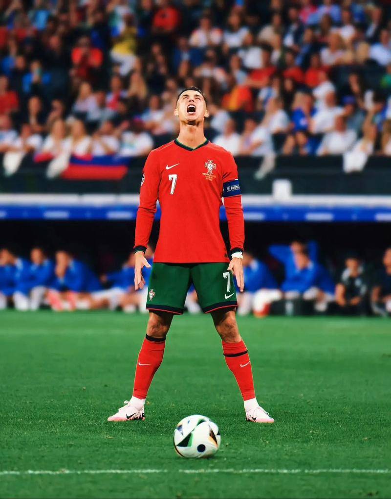 下底或肋部 下底或肋部